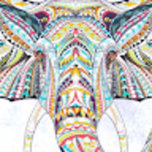 Meet your Posher, Kenzie